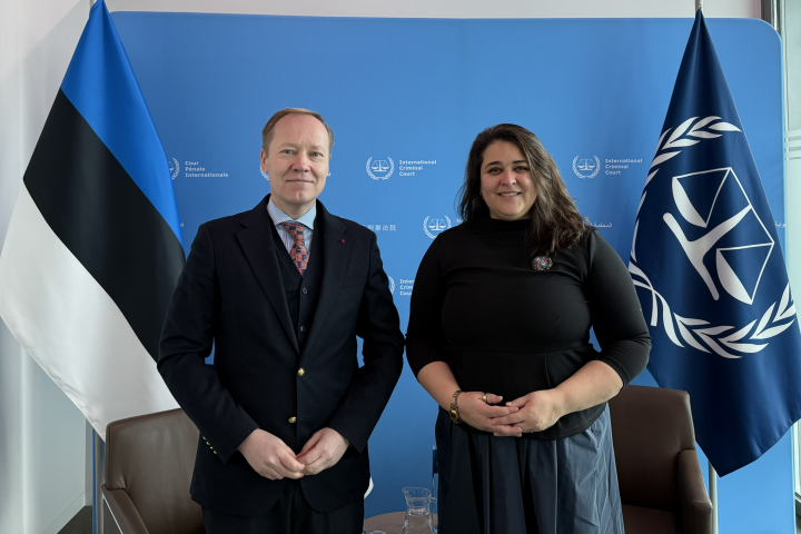 Estonia contributes to the TFV