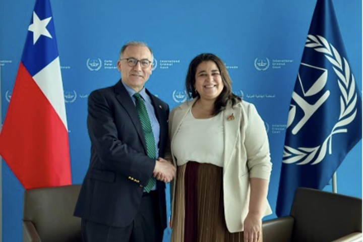 Chile contributed to the TFV