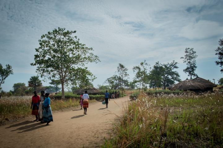 TFV assistance programme with women and girls involved in sustainable projects